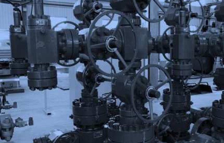 Wellhead Services